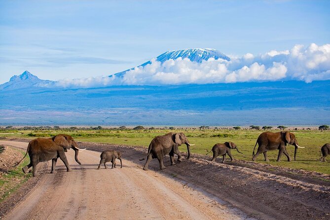 3 Days 2 Nights Amboseli National Park Tour - Why Amboseli makes a strong short safari