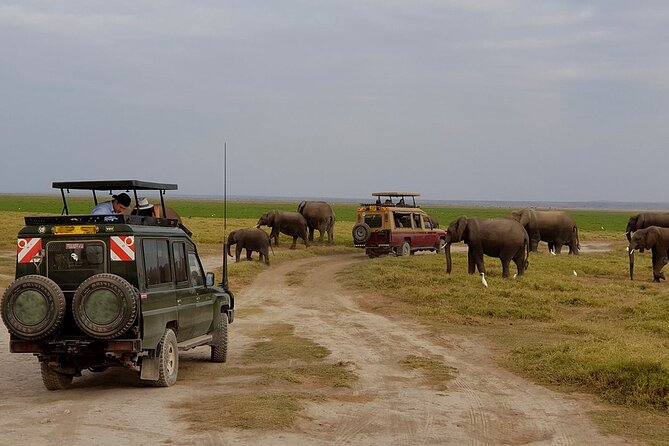 3 Days 2 Nights Amboseli National Park Tour - The 7:00 am start from Nairobi