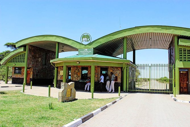 3 Days 2 Nights Amboseli Safari - Day 3: One last drive before returning to Nairobi