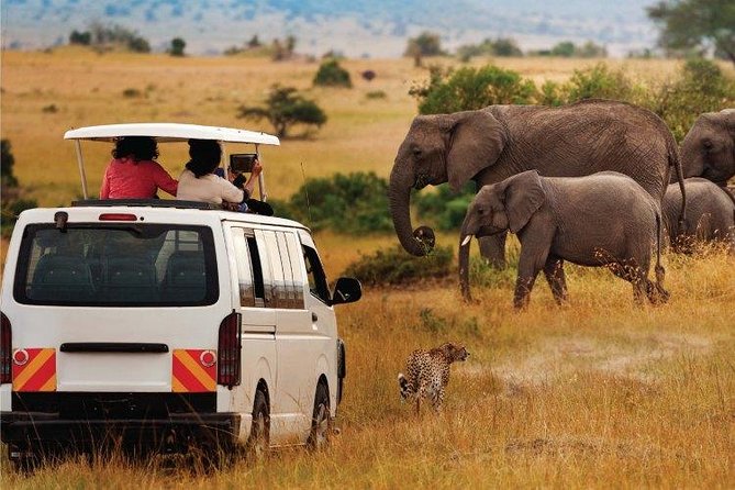 3 Days 2 Nights Amboseli Safari - Food, lodge comfort, and what is included