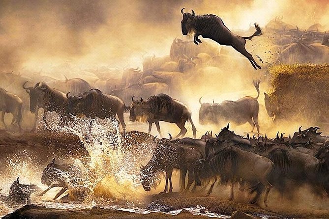 3 days 2 nights budget group safari to Maasai Mara National Reserve - Camps, meals, and the meaning of budget