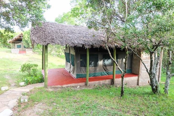 3 days 2 nights budget group safari to Maasai Mara National Reserve - Booking, cancellation, and practical details