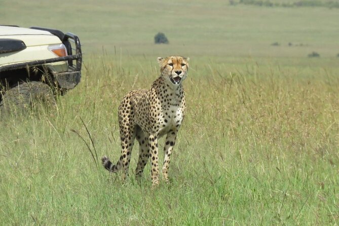3 Days 2 nights Group joining Midrange Safari Tour in Masai maraa - Why three days works for the Maasai Mara