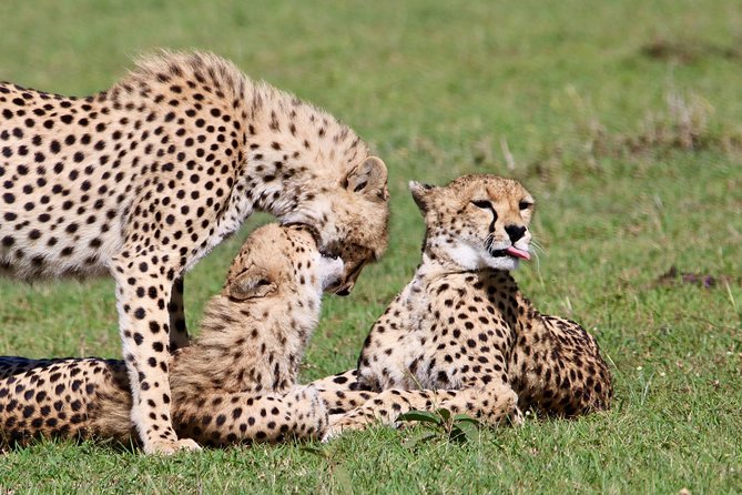 3 Days 2 Nights in Maasai Mara via The Great Rift Valley - Meals, camp time, and the real cost