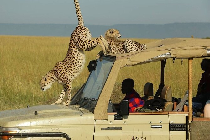 3 Days - 2 Nights Maasai Mara from Nairobi - From Nairobi to the Rift Valley escarpment