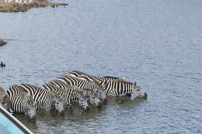 3 Days - 2 Nights Maasai Mara from Nairobi - What the praise tells you about the stay