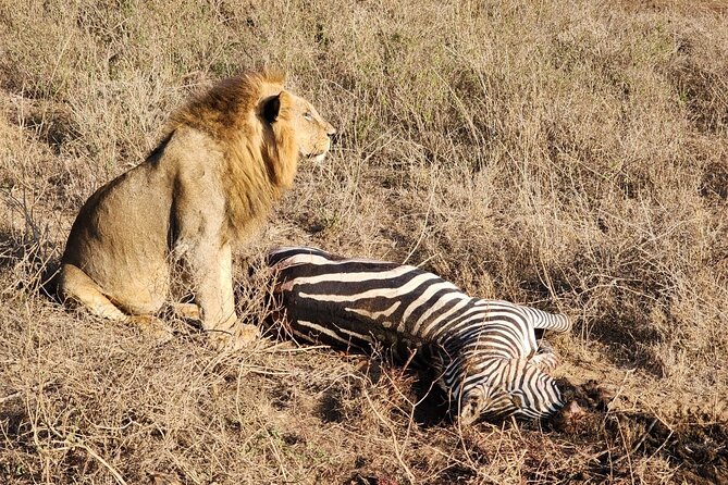 3 Days - 2 Nights Maasai Mara from Nairobi - Practical questions to settle before you pay