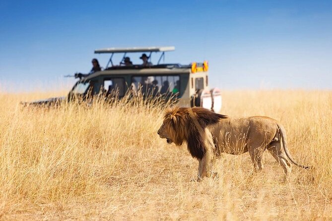 3 Days - 2 Nights Maasai Mara from Nairobi - A private Jeep built for game viewing