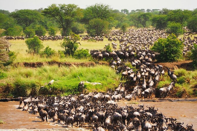 3 Days 2 Nights Maasai Mara Group Safari by 4WD From Nairobi - Quick facts before you book