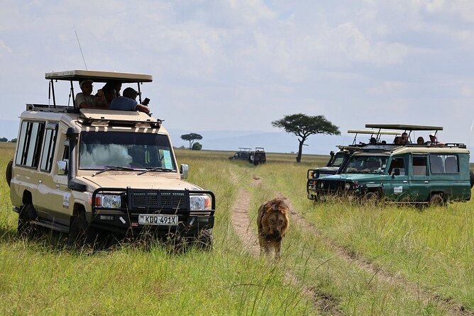 3 Days 2 Nights Maasai Mara Group Safari by 4WD From Nairobi - Returning to Nairobi on the third day