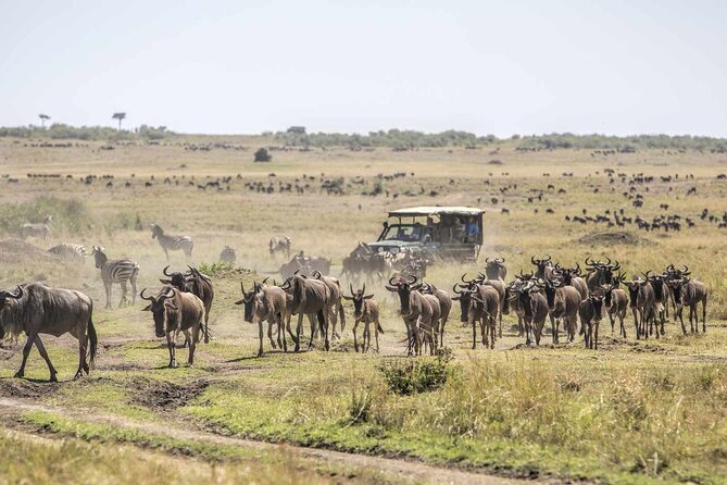 3 Days 2 Nights Maasai Mara National Reserve Joining Safari - Nairobi to Maasai Mara by way of the Rift Valley