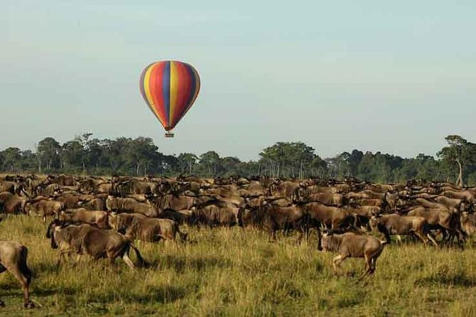 3 Days 2 Nights Masai Mara Joining Safari From Nairobi - Meals, camping, and daily comfort