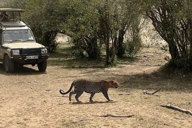 3 Days 2 Nights Masai Mara Road Transport Safari - The Maasai community visit on the return day