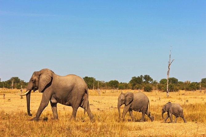 3 Days, 2 Nights Safari - Amboseli National Park and Tsavo West Adventure Safari - Why this safari works from Diani Beach