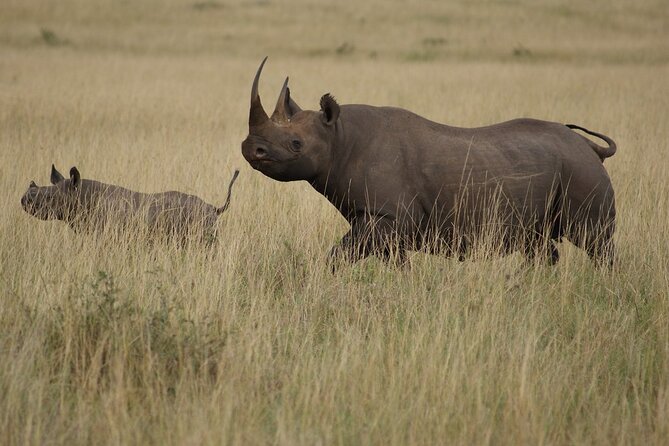 3 Days, 2 Nights Safari - Luxury Maasai Mara from Kisumu/Nairobi - The Mara River and its crocodile country