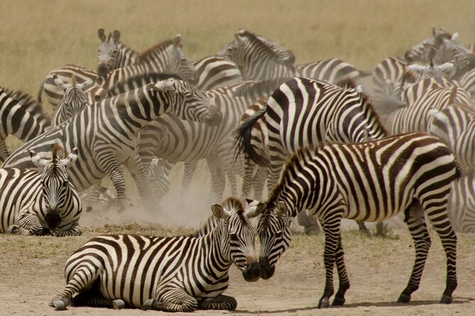 3 Days, 2 Nights Safari - Luxury Maasai Mara from Kisumu/Nairobi - Practical details before you book