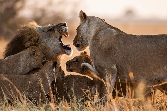 3 Days, 2 Nights Safari - Luxury Maasai Mara from Kisumu/Nairobi - Day one: the Rift Valley and an afternoon game drive