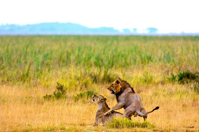 3 days, 2 nights safari to Amboseli National park from Nairobi - Who should book this private safari?