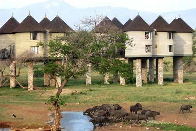 3 Days 2 Nights Safari to Saltlick Lodge from Nairobi - Why Saltlick Lodge makes this safari different