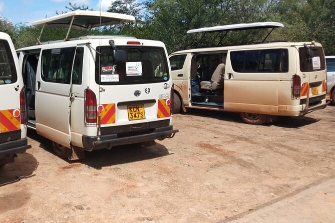 3 Days 2 Nights Safari to Saltlick Lodge from Nairobi - Checking into Saltlick Lodge