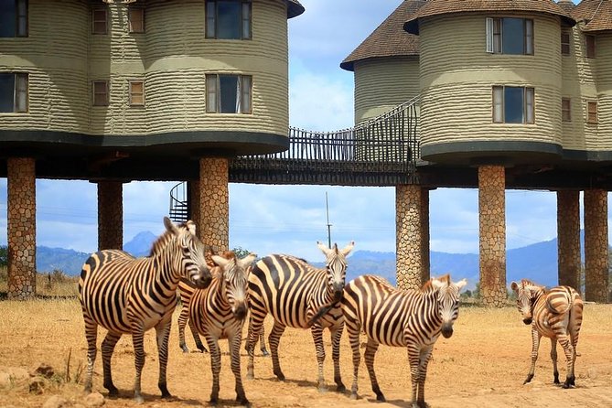3 Days(2 nights) Tsavo East Tour & Saltlick (Cost based on minimum 2 persons) - Day 1: Bachuma Gate and the first Tsavo East drive