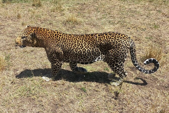 3 Days Adventure Tour in Masai Mara - Day 1: Nairobi, the Rift Valley, and a first sunset drive