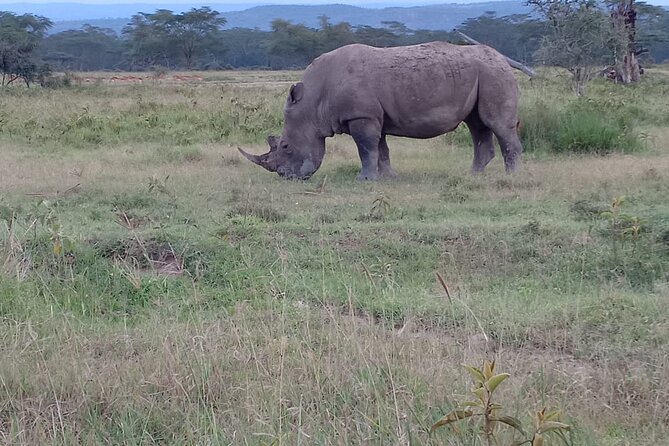 3 Days Adventure Tour in Masai Mara - What the small group changes