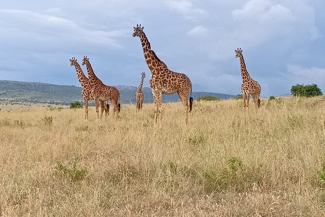 3 Days Adventure Tour in Masai Mara - Who should book this safari?