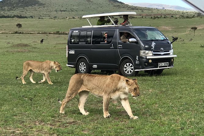3 Days adventurous Maasai Mara Budget Group Safari - Day 1: From Nairobi to the Mara by Road