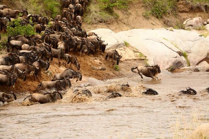 3 Days adventurous Maasai Mara Budget Group Safari - Guides Make the Biggest Difference