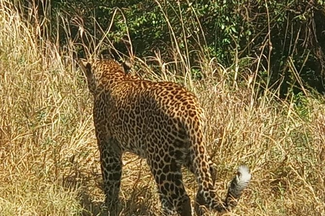 3 Days adventurous Maasai Mara Budget Group Safari - What to Pack for a Budget Safari