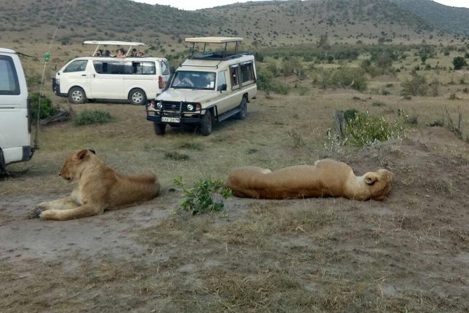 3 Days adventurous Maasai Mara Budget Group Safari - Who Should Book This Safari