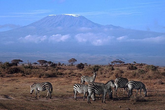 3 days Amboseli, Land of Kilimanjaro - What the private setup really adds
