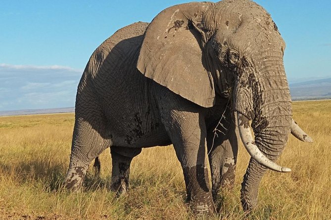 3 Days Amboseli National Park - Key points to know before you book
