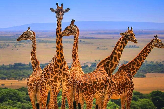 3 Days Amboseli National Park - How to think about the three-day rhythm