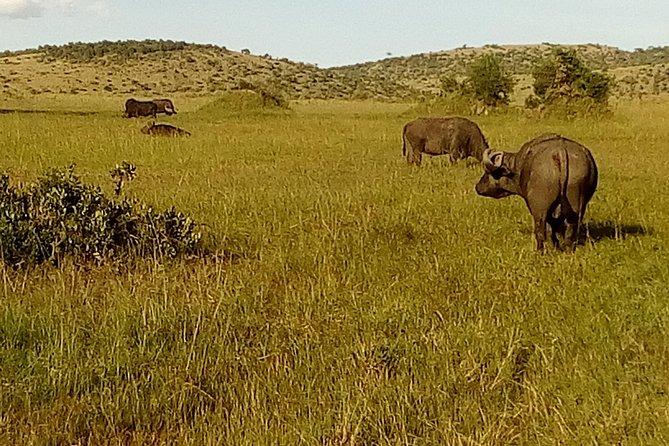 3 Days Amboseli National Park - Cancellation and practical booking points