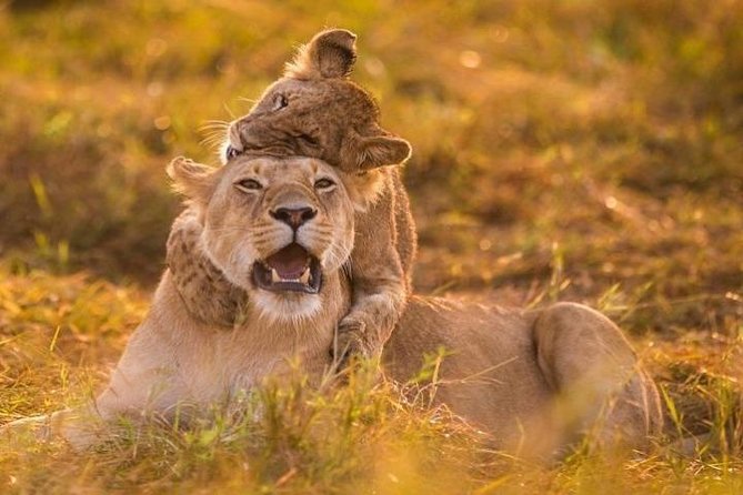 3 Days Amboseli National Park safari - The lodge, food, and what the price covers