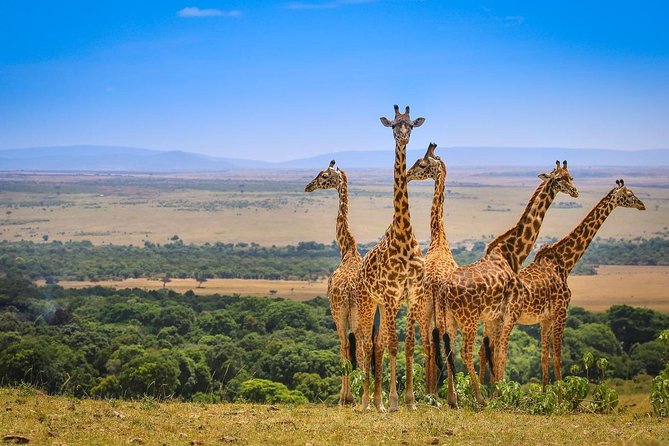 3 Days Amboseli National Park safari - Day 2: The full Amboseli wildlife day
