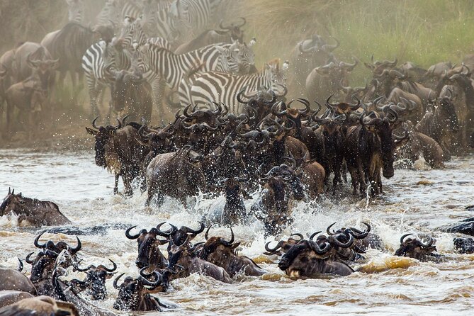3 Days and 2 Nights Adventure in Masai Mara - First game drive in Masai Mara National Reserve