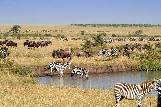 3 Days and 2 Nights Adventure in Masai Mara - Food, water, and the practical comfort level