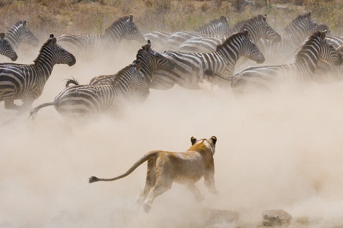 3 Days and 2 Nights Adventure in Masai Mara - Returning to Nairobi on Day 3