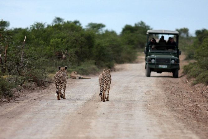 3 Days Budget Masai Mara Safari - The final morning and optional Maasai village visit