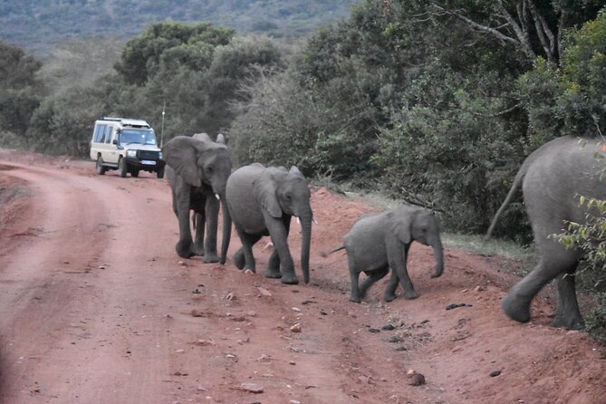 3 days group joining safari to Maasai Mara with a Land Cruiser Jeep - Leaving Nairobi for the Great Rift Valley