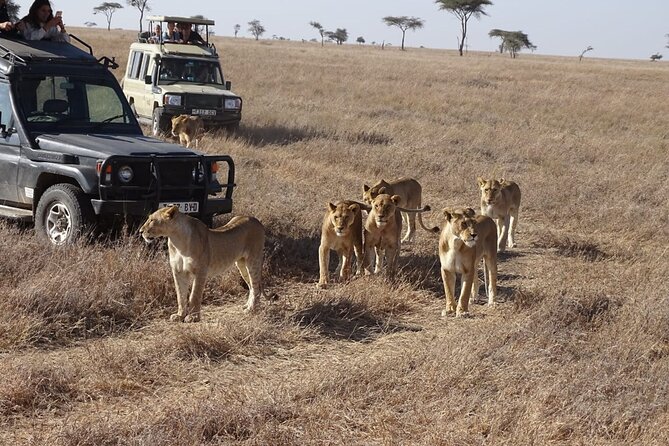 3 days group joining safari to Maasai Mara with a Land Cruiser Jeep - A full day beside the Mara River