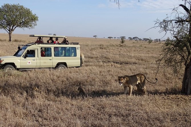 3 days group joining safari to Maasai Mara with a Land Cruiser Jeep - What the $221 price really covers