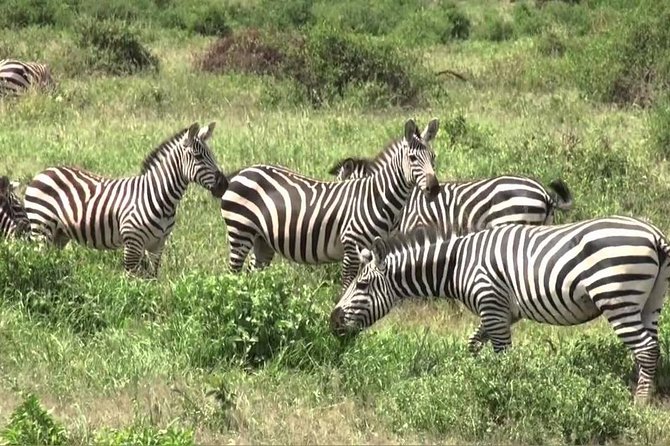 3 days group joining safari to Maasai Mara with a Land Cruiser Jeep - The first Maasai Mara game drive at 4 pm