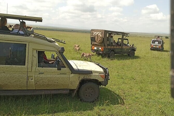 3 days group joining safari to Masai Mara with a Land CruiserJeep - Day three: breakfast, an optional village visit, and the road back