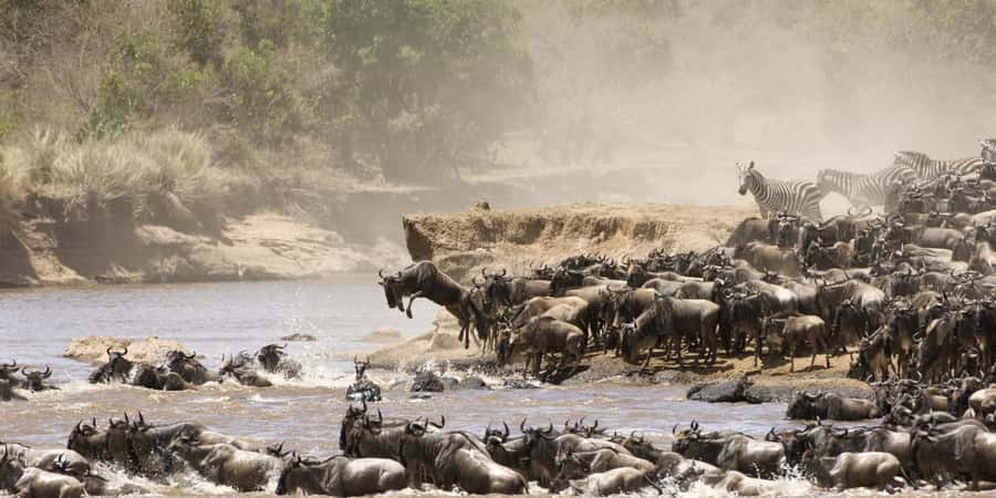 3 days group safari to maasai mara with a 4x4 landcruiser - What $565 buys you on this Maasai Mara safari