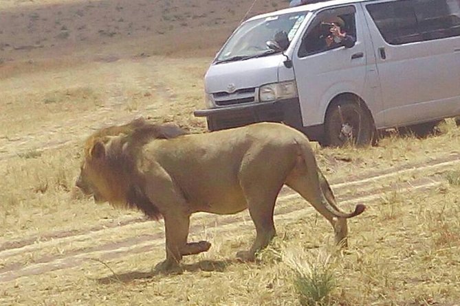 3 Days Maasai Mara Budget Group Safari - Why Maasai Mara makes sense for a short safari