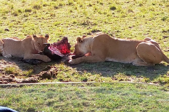 3 Days Maasai Mara Budget Group Safari - Leaving Nairobi for the Great Rift Valley